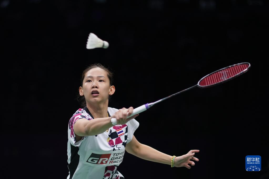 浪者在欧战 浪者在欧战