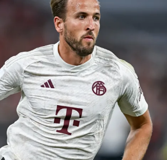 段篡改和盗 段篡改和盗