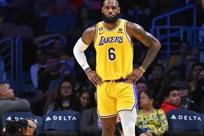 大概率会采 大概率会采