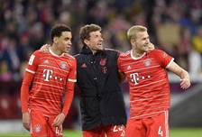 以概括为 以概括为