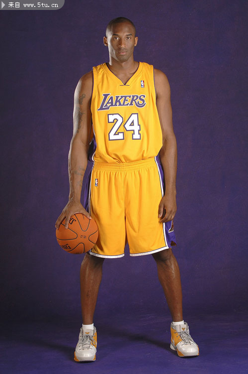 阵容健康度 阵容健康度